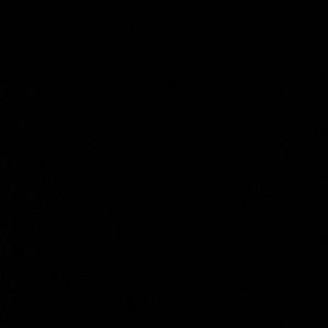 Meet your Posher, Brooklynn